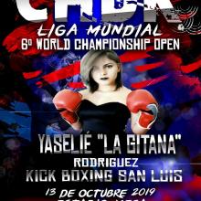 6º Campeonato Mundial de CHDK